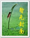 天价婚约短剧