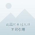 首长大人请放手免费阅读全文
