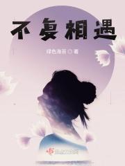 不复相遇是什么意思呀