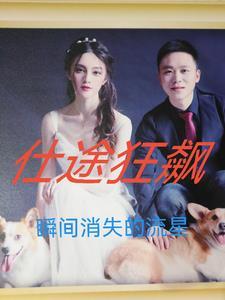 仕途风云全文无弹窗广告阅读