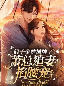 萧总的宠妻套路