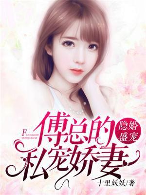 傅先生隐婚