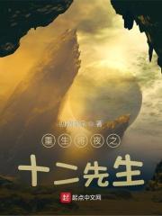 重生将夜之十二先生飞卢