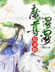魔尊追妻日常